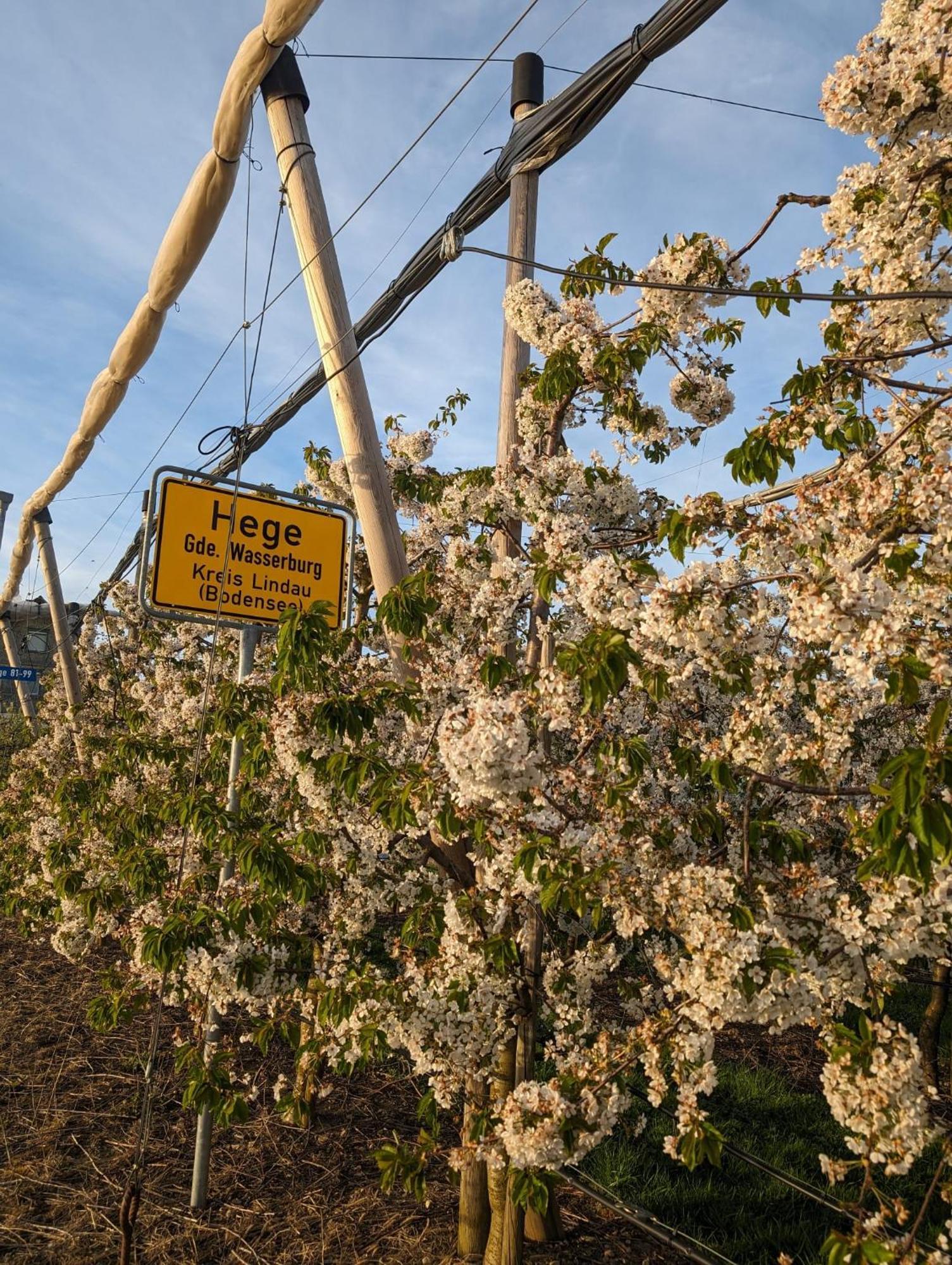 Kinderlachen Wasserburg Eksteriør bilde